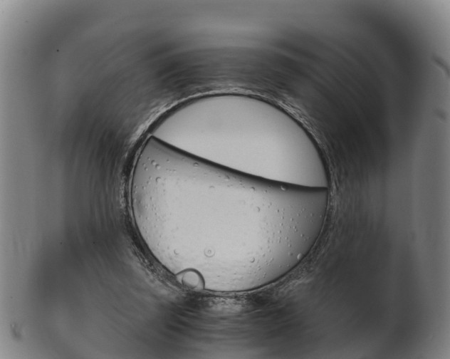 X0000102520347200808081035