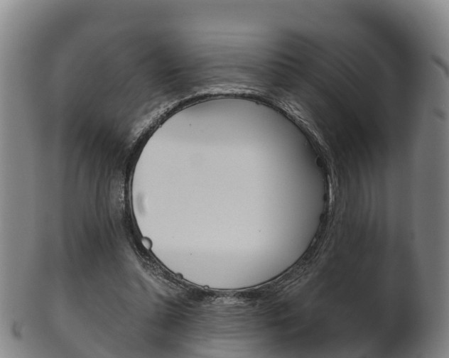 X0000102520348200808081035