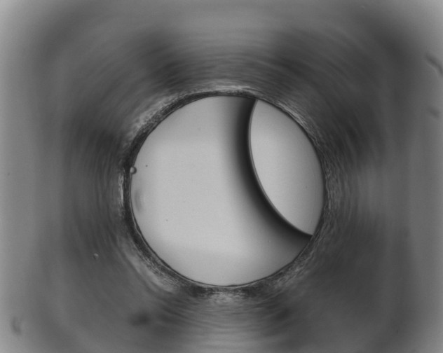 X0000102520350200808081035