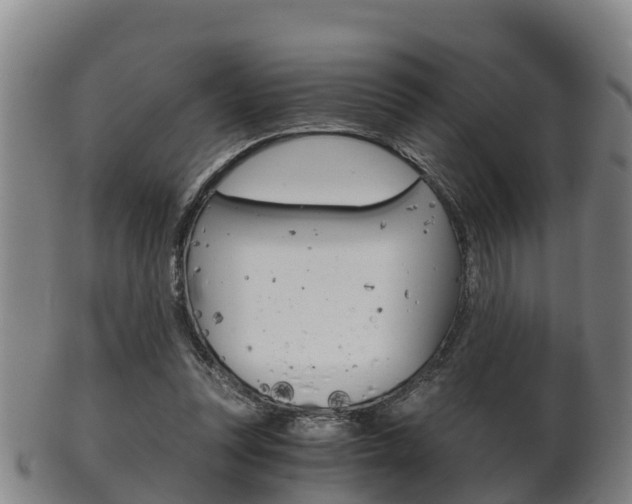 X0000102520351200808081035