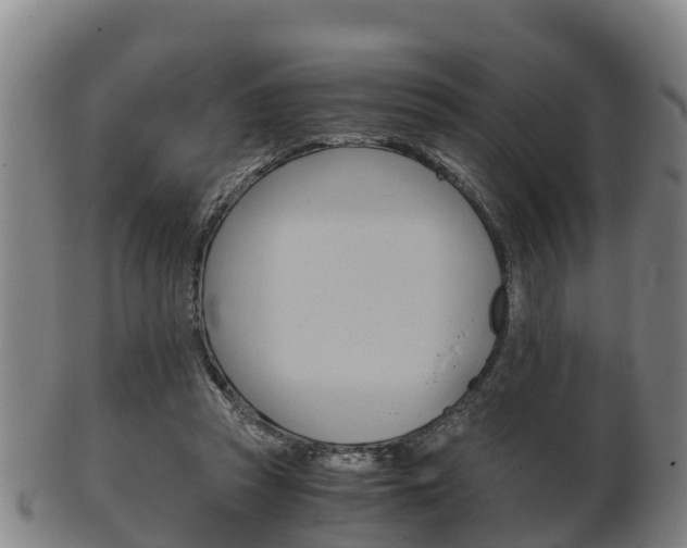 X0000102520353200808081035