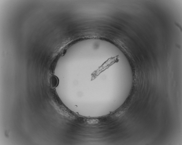 X0000102520355200808081035