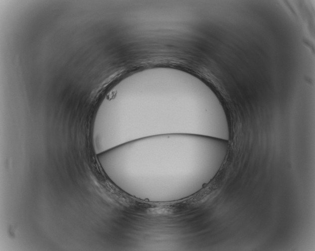X0000102520356200808081035