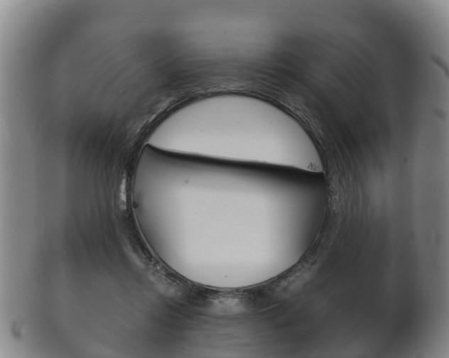 X0000102520358200808081035