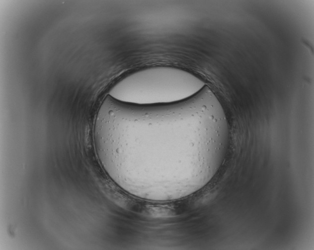X0000102520359200808081035
