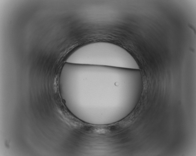 X0000102520360200808081035