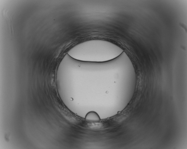 X0000102520361200808081035