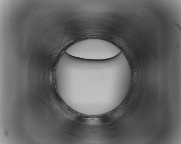 X0000102520363200808081035