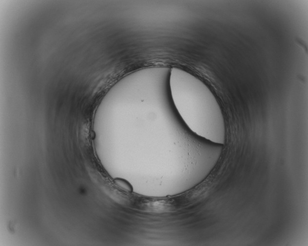 X0000102520365200808081035