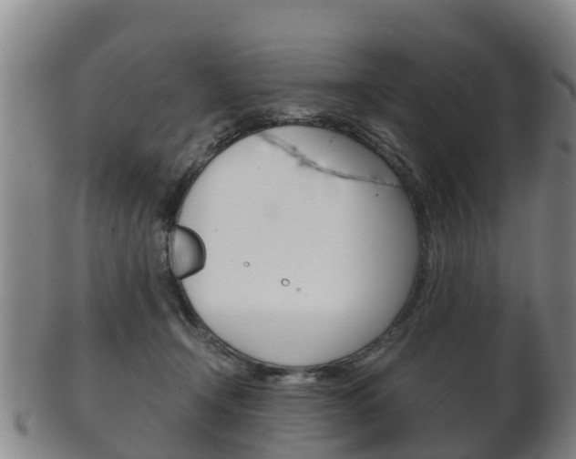 X0000102520366200808081035