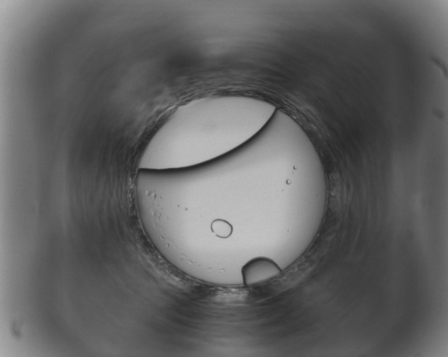 X0000102520369200808081035
