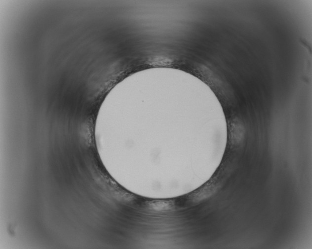 X0000102520370200808081035