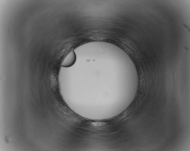X0000102520371200808081035