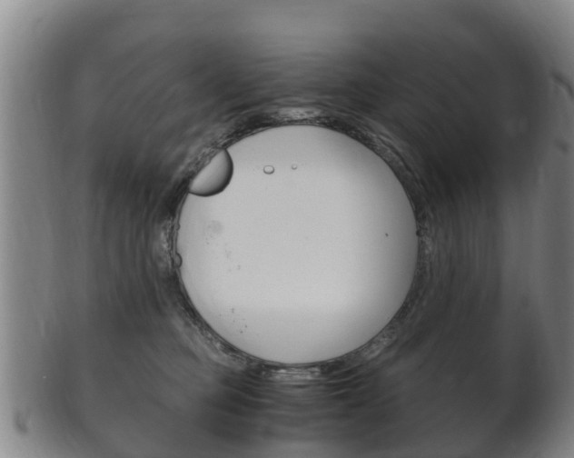 X0000102520373200808081035