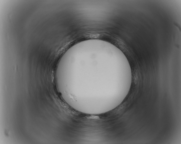 X0000102520374200808081035
