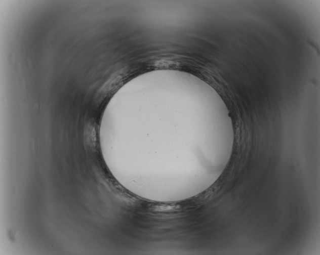 X0000102520375200808081035