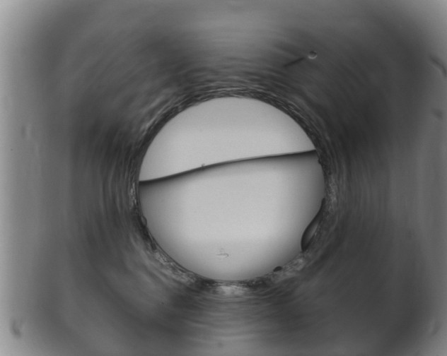 X0000102520376200808081035