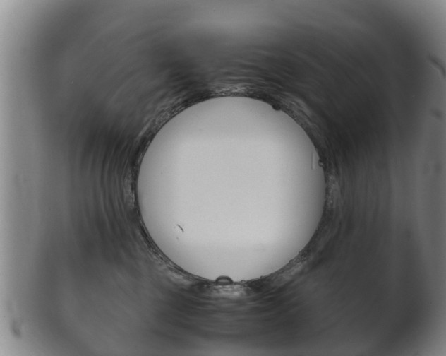X0000102520377200808081035