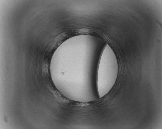 X0000102520379200808081035