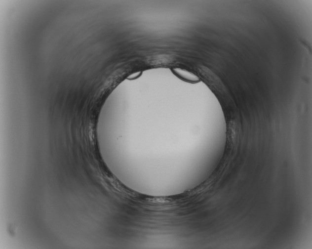 X0000102520380200808081035
