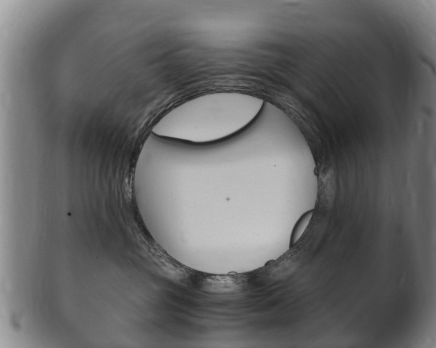 X0000102520381200808081035