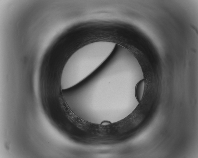X0000102520383200808081035