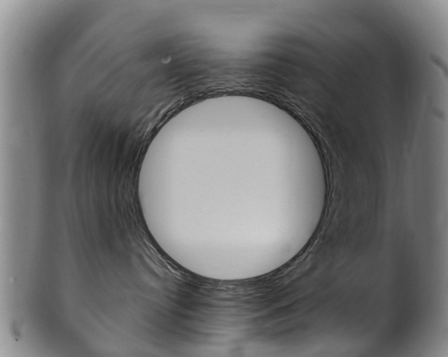 X0000102520384200808081035