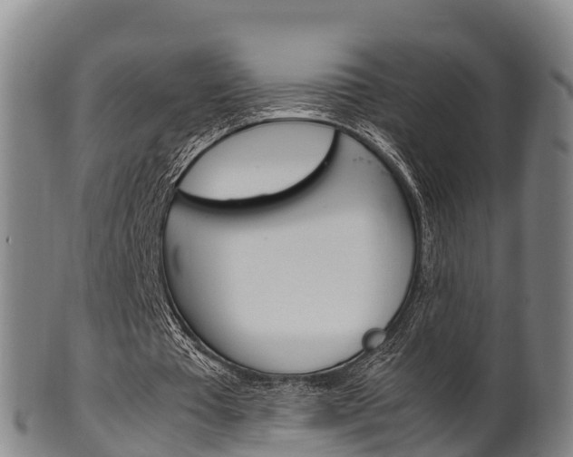X0000102520385200808081035