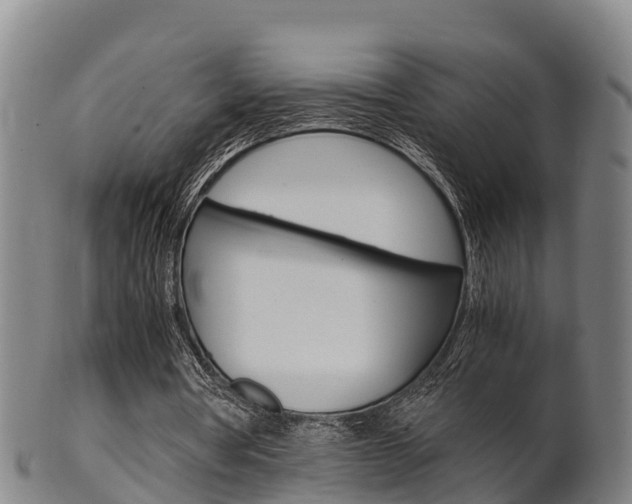 X0000102520386200808081035