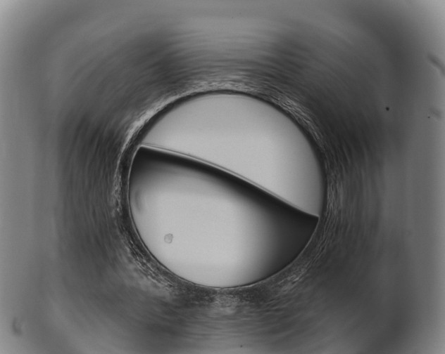 X0000102520388200808081035