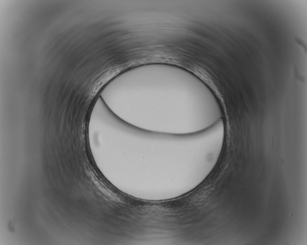 X0000102520389200808081035