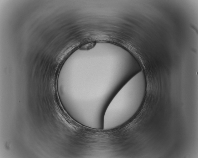 X0000102520390200808081035