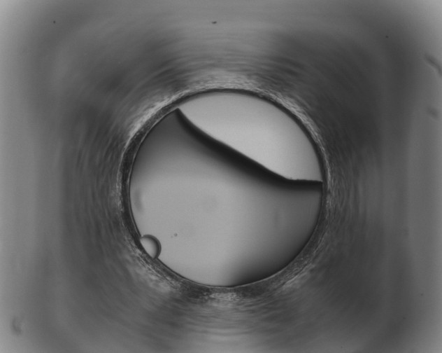 X0000102520391200808081035
