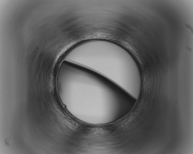 X0000102520392200808081035