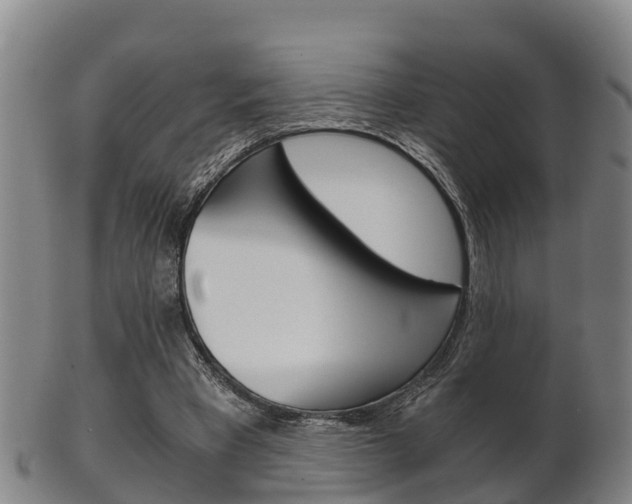 X0000102520393200808081035