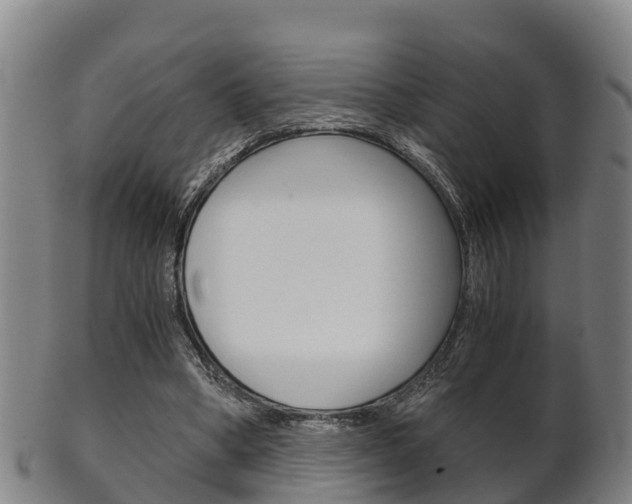 X0000102520394200808081035