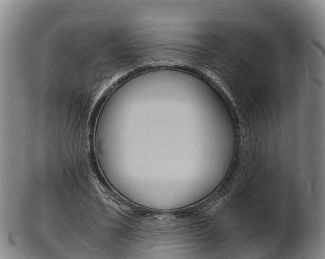 X0000102520395200808081035