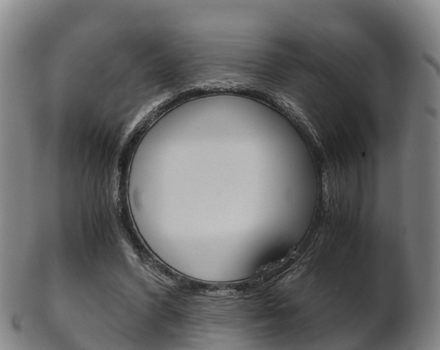 X0000102520396200808081035