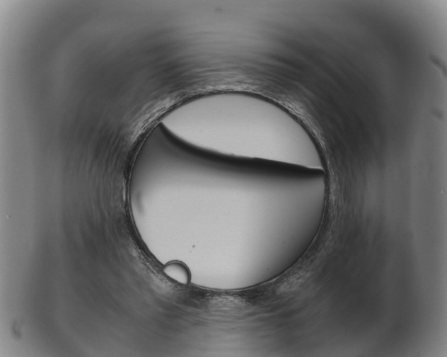 X0000102520397200808081035
