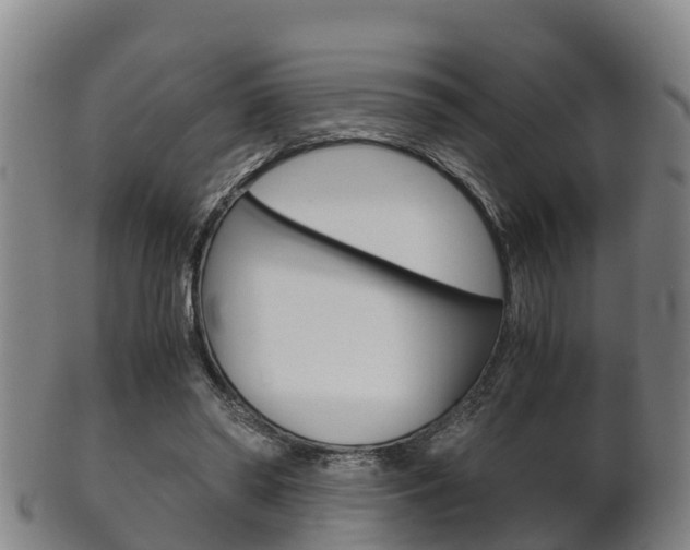X0000102520398200808081035