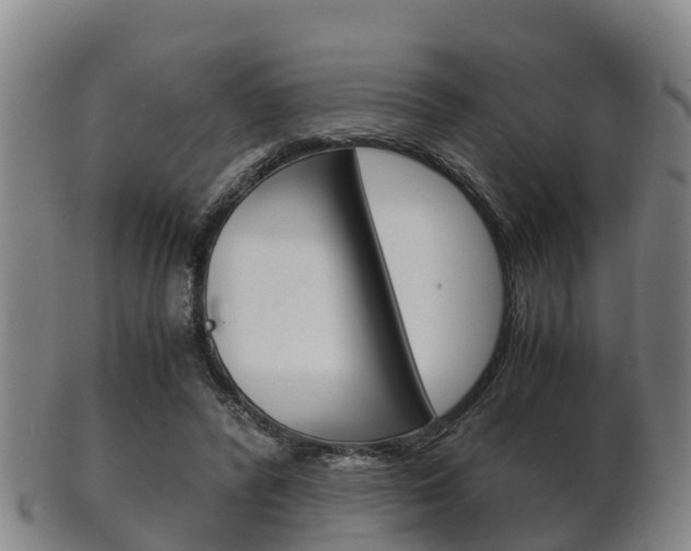 X0000102520400200808081035