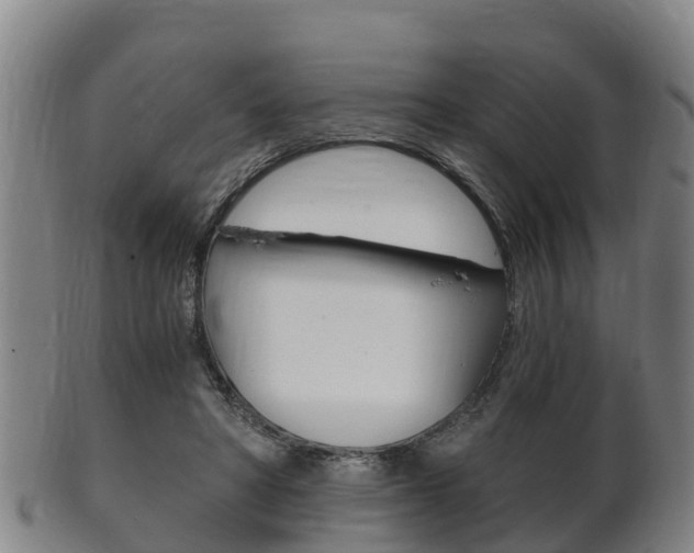 X0000102520402200808081035