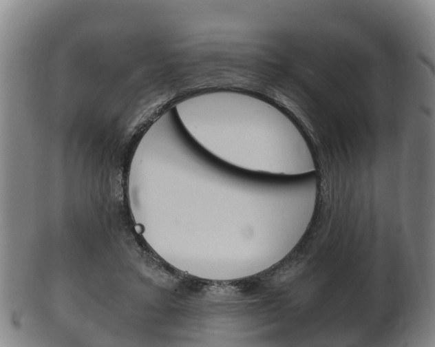 X0000102520403200808081035