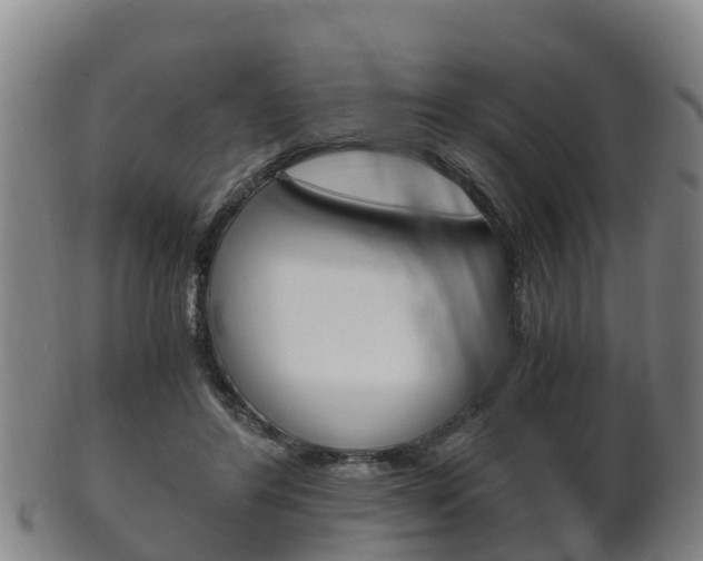 X0000102520404200808081034