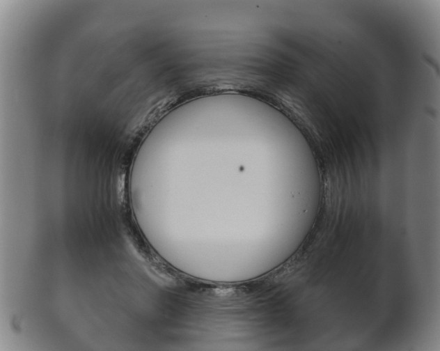 X0000102520406200808081034