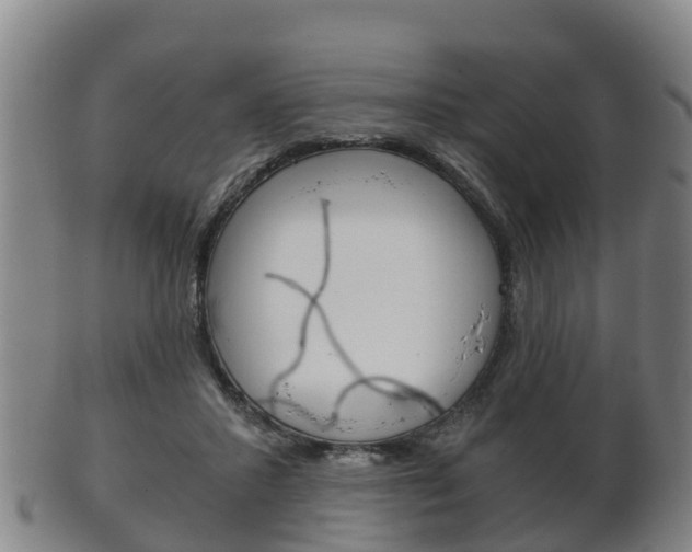 X0000102520407200808081034