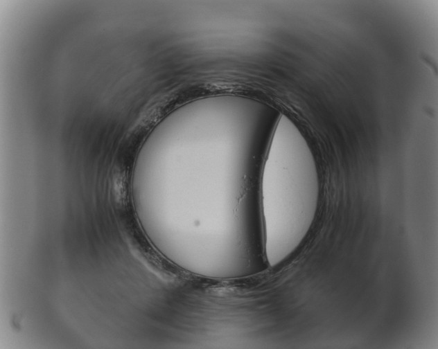 X0000102520408200808081034