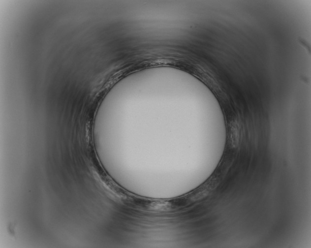 X0000102520410200808081034