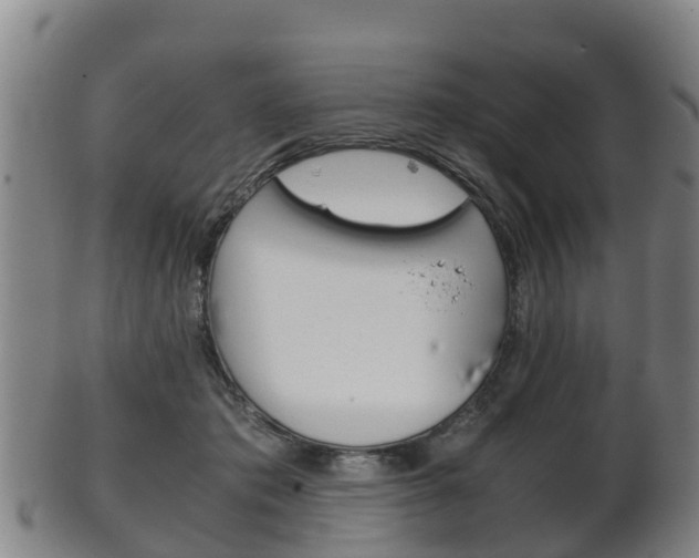 X0000102520413200808081034