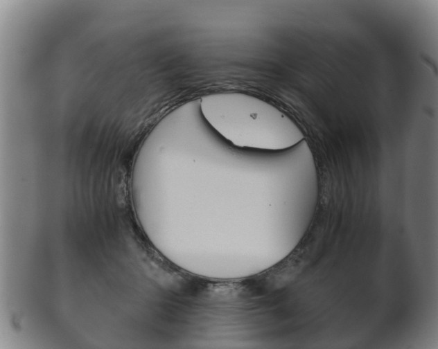 X0000102520414200808081034